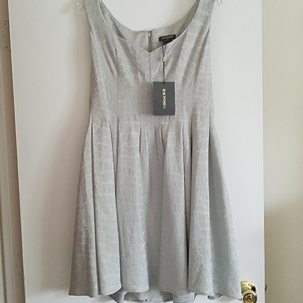 New Zac Posen dress!